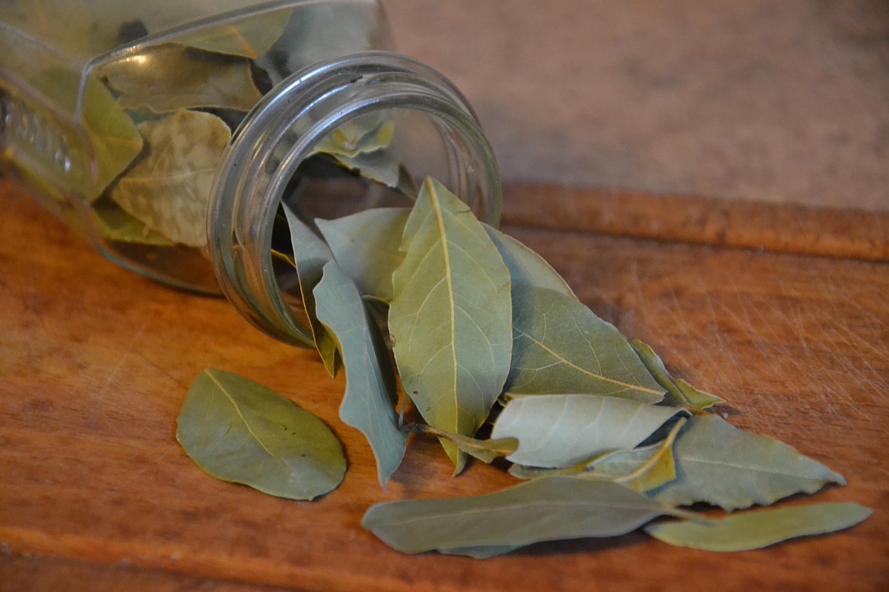 laurel, bay leaf, spice, kitchen, spices, nature, plants, food, aromatic hydrocarbons, cook, the smell of, herbs, laurel, bay leaf,